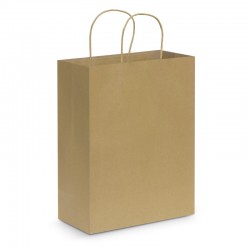 Paper Bags - Paper Carry Bag - Large