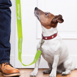 Novelties - Trek Dog Leash