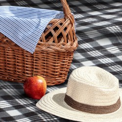 Picnic Blankets - Dakota Picnic Blanket