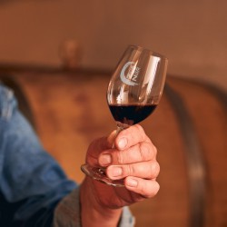 Printed Glasses, Cups & Tumblers - Chateau Wine Taster Glass