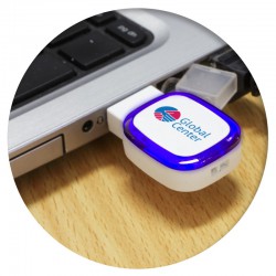 Flash Drives - Zodiac 4GB Flash Drive