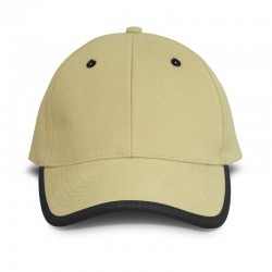 Caps - Springfield Cap
