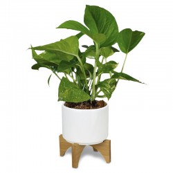 Homeware Products - Planter with Bamboo Base