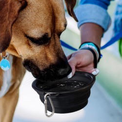 Homeware Products - Silicone Collapsible Pet Bowl