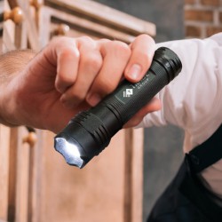 Torches - Waitomo Torch