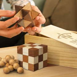 Executive Games - Wooden Brain Teaser Set