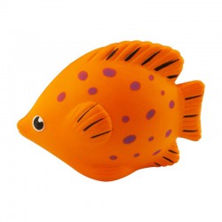 Stress Animals - Stress Tropical Fish