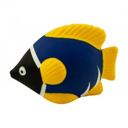 Stress Animals - Stress Tropical Fish