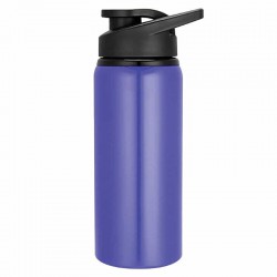 Drink Bottles - Metal - Sydney Drink Bottle 600ml