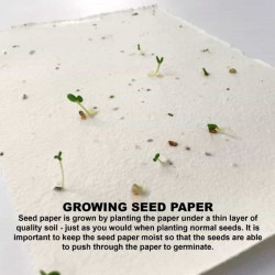 Printed Post It Notes - Daisy Seed Sticky Note Pad