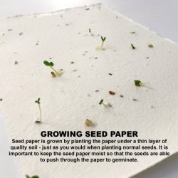Printed Post It Notes - Corn Poppy Seed Sticky Note Pad