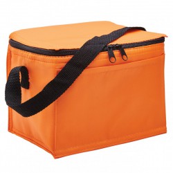 Cooler Bags - Arctic Cooler