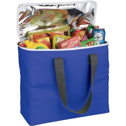 Cooler Bags - Arctic Zone® 30-Can Foldable Freezer Tote