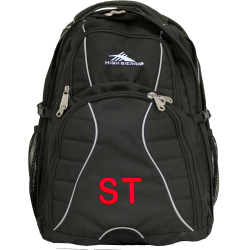 Backpacks - High Sierra Swerve 17inch Backpack