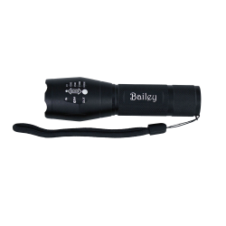Torches - Trekk 300 Lumens Torch