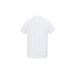 Ladies Corporate Shirts - Ladies Regent S/S Shirt