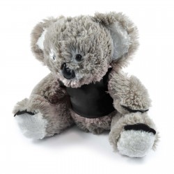 Teddy Bears - Korporate Koala