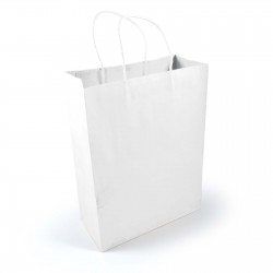 Paper Bags - Express Paper Bag Large