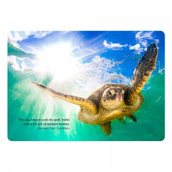 Mouse Pads - Hover Wireless Charger / Mouse Pad