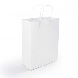 Paper Bags - Express Paper Bag Medium