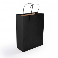 Paper Bags - Express Paper Bag Medium