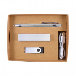 Business Gifts - Sass Cardboard Gift Box