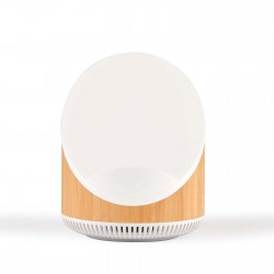 Wired & Bluetooth Headphones - Fresco Speaker & Wireless Charger