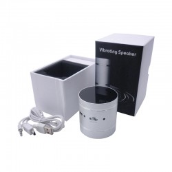 Wired & Bluetooth Headphones - BT Boying Vibration Speaker