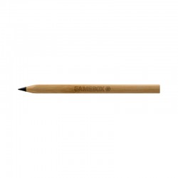 Bamboo & Wood Enviro Pens - Picasso Eco Bamboo Pen