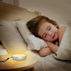 Torches - Night Time Light