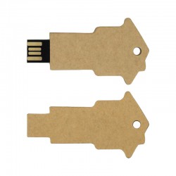 Wired & Bluetooth Headphones - Lucas Eco Key Flash Drive 4GB - 64GB (USB2.0)