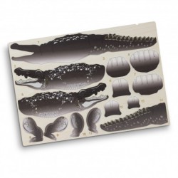 Executive Games - BRANDCRAFT Crocodile Wooden Model