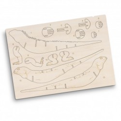 Executive Games - BRANDCRAFT Tuatara Wooden Model