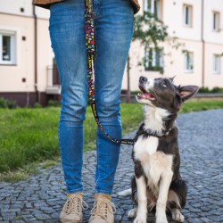 Custom Printed Lanyards - Amigo Dog Leash