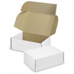 Gift Bags - Die Cut Box with Locking Lid - 300x225x113mm