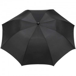 Folding Umbrellas - Stromberg Folding Auto Umbrella