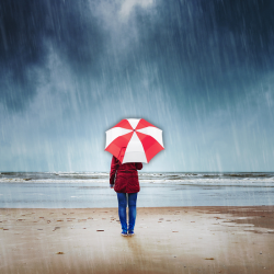 Folding Umbrellas - Vented Folding Umbrella