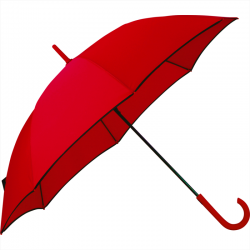Corporate Umbrellas - Auto Open Colorized Fashion Umbrella