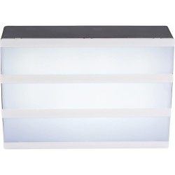 Executive Toys - Cinema Light Box