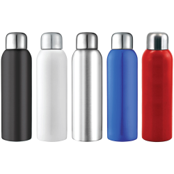 Drink Bottles - Metal - Guzzle Stainless Sports Bottle