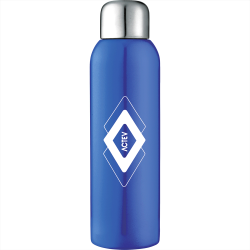 Drink Bottles - Metal - Guzzle Stainless Sports Bottle