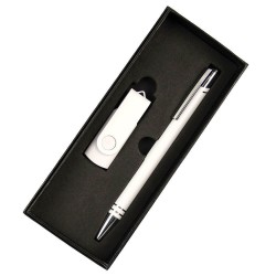 Business Gifts - Gift Set - USB in 4G + Pen
