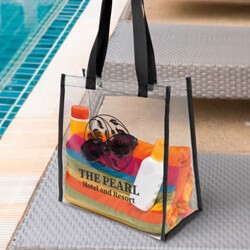 Clear Stadium Bags